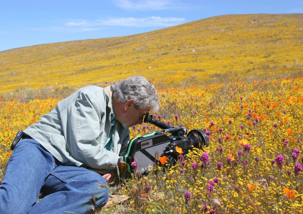Discover the Rhythm of Nature with Louie Schwartzberg at Love Tomorrow Conference